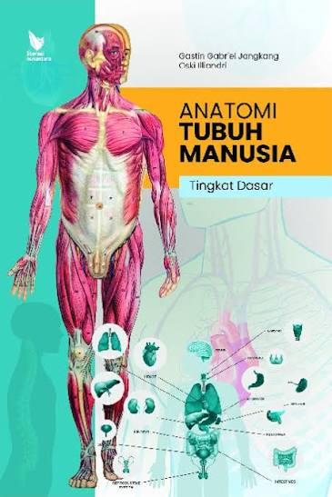Anatonim tubuh manusia