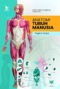 Anatonim tubuh manusia