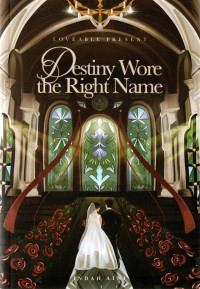Image of DESTINY WORE THE RIGHT NAME