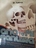 ILMU ANATOMI MANUSIA OSTEOLOGI, ARTHOLOGIE & MYOLOGIE