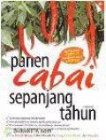 PANEN CABAI SEPANJANG TAHUN