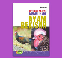 Image of Petunjuk Praktis Beternak AYAM BEKISAR